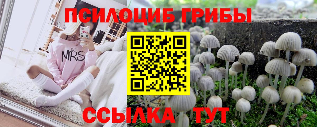 Псилоцибиновые грибы мухоморы Шадринск